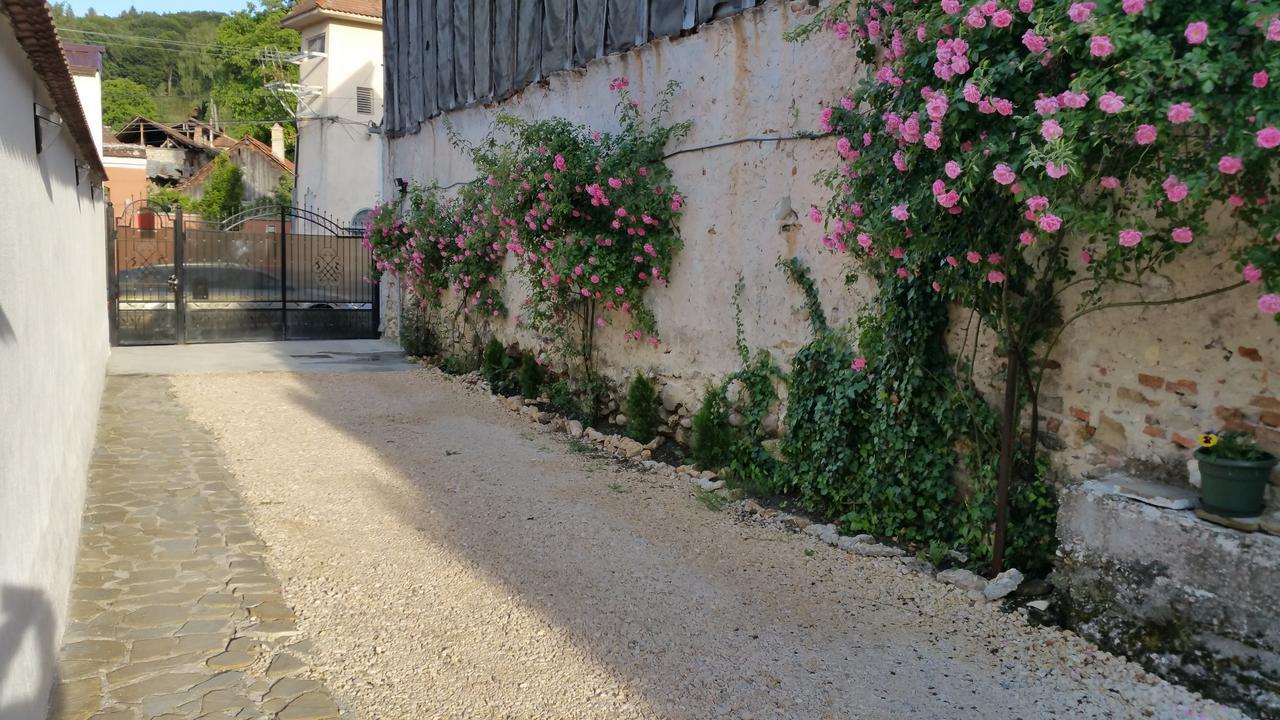 Apartamento Casa Bergwald Rîşnov Exterior foto