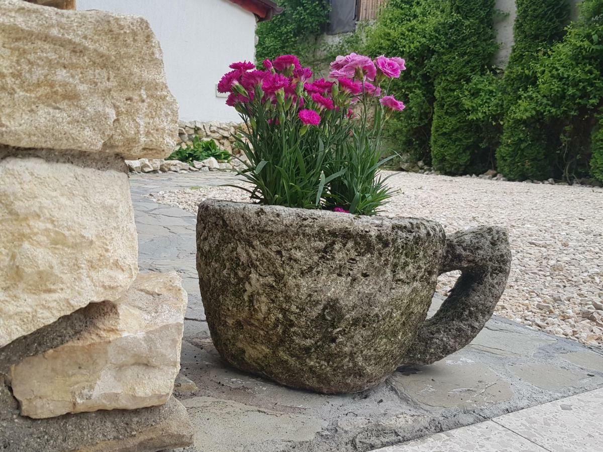 Apartamento Casa Bergwald Rîşnov Exterior foto